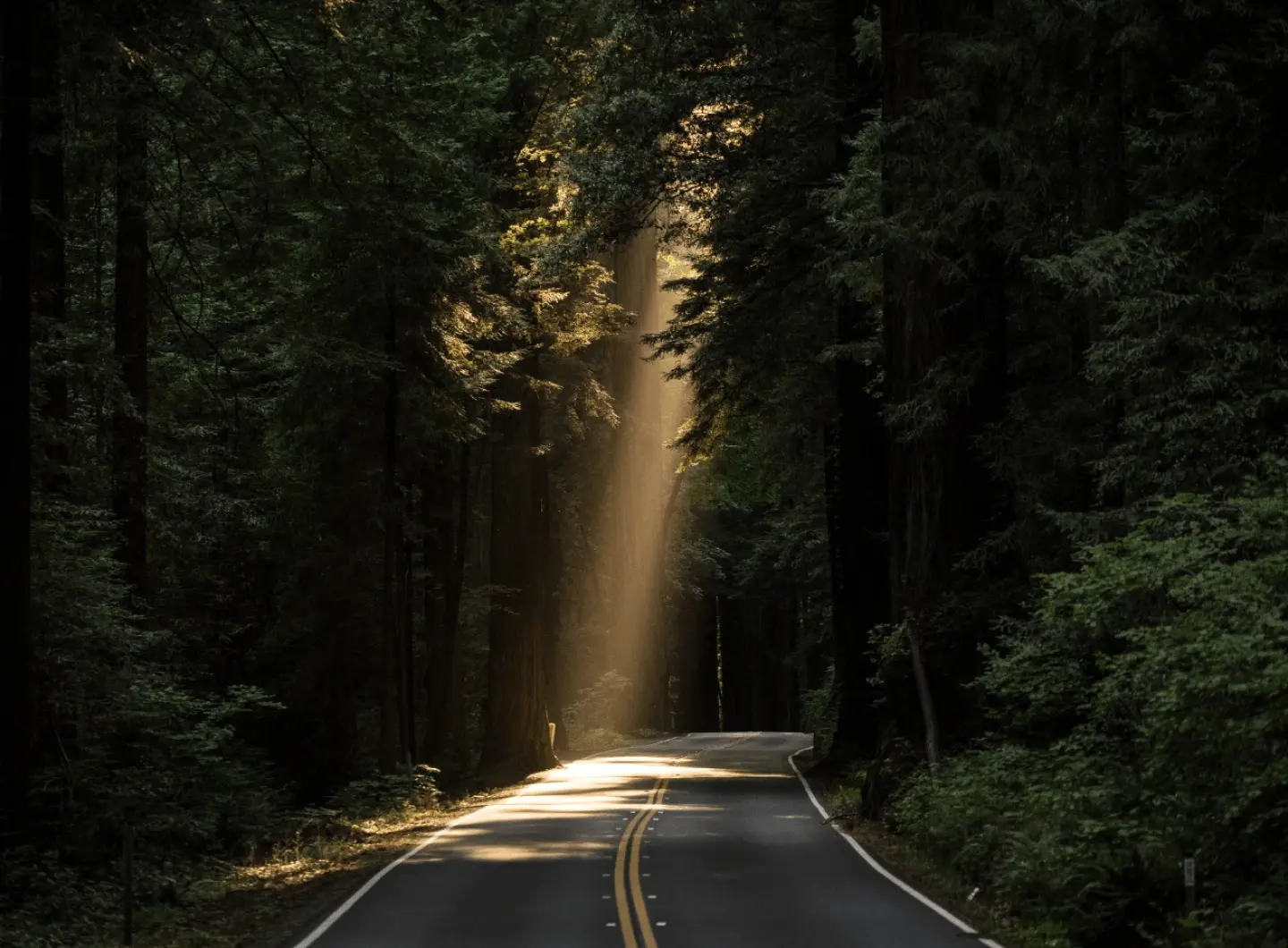 Guided Financial Path